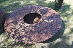 698_647223677